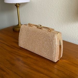 Glittery Clutch with handle